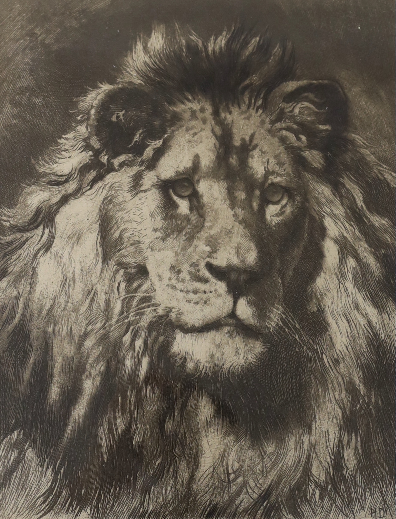 After Herbert Thomas Dicksee (1862-1942) etching, 'His Royal Highness', publ. London Virtue and Co, 29 x 22cm